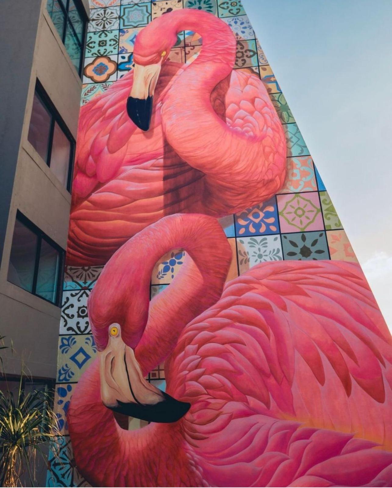 Flamingo Cancun All Inclusive Exterior foto